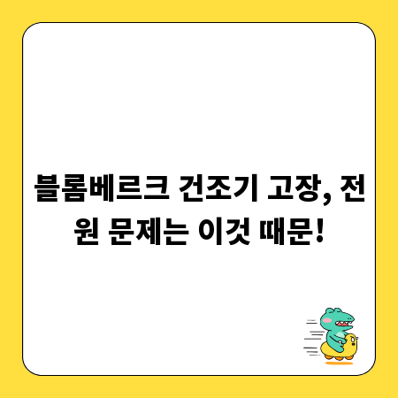 블롬베르크 건조기 고장, 전원 문제는 이것 때문!