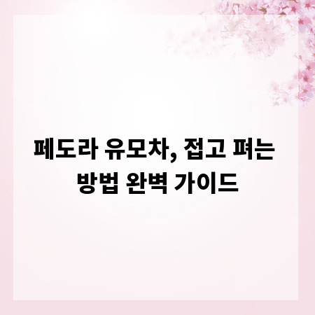 페도라 유모차, 접고 펴는 방법 완벽 가이드