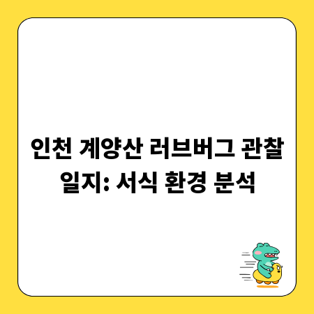 인천 계양산 러브버그 관찰일지: 서식 환경 분석