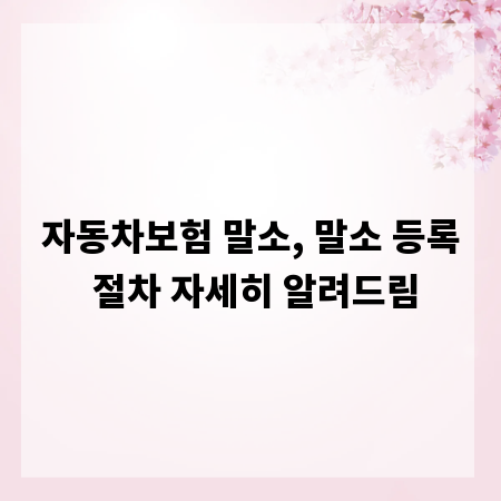 자동차보험 말소, 말소 등록 절차 자세히 알려드림