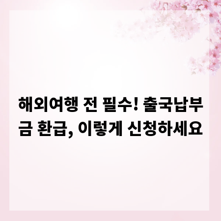 해외여행 전 필수! 출국납부금 환급, 이렇게 신청하세요