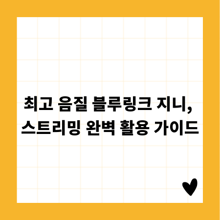 최고 음질 블루링크 지니, 스트리밍 완벽 활용 가이드