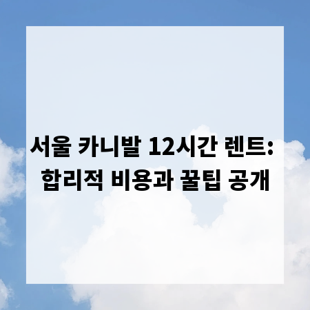 서울 카니발 12시간 렌트: 합리적 비용과 꿀팁 공개