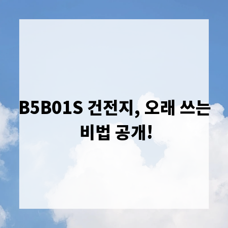 B5B01S 건전지, 오래 쓰는 비법 공개!
