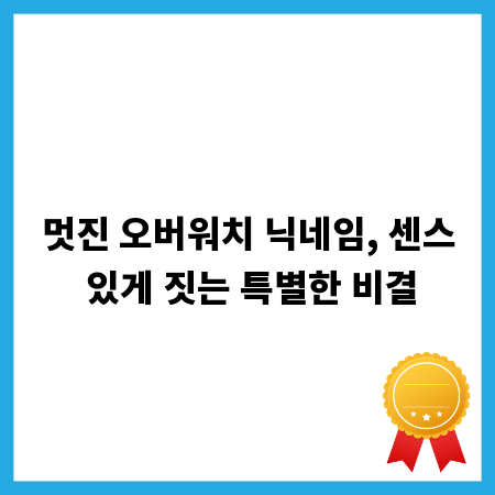 멋진 오버워치 닉네임, 센스 있게 짓는 특별한 비결