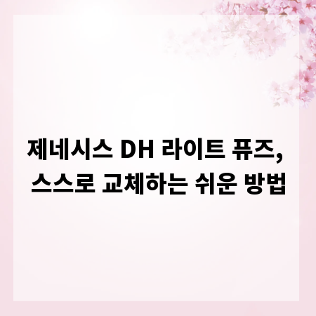 제네시스 DH 라이트 퓨즈, 스스로 교체하는 쉬운 방법