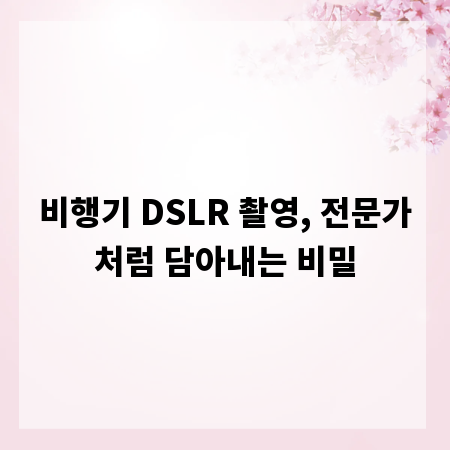 비행기 DSLR 촬영, 전문가처럼 담아내는 비밀