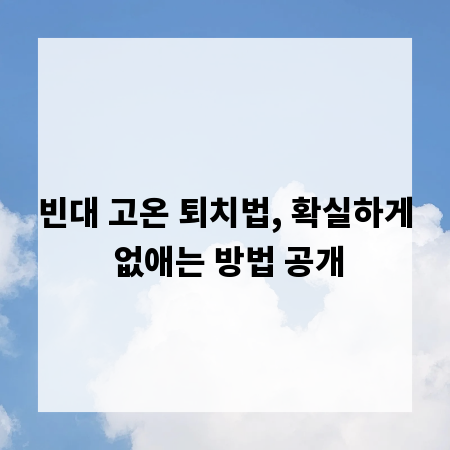 빈대 고온 퇴치법, 확실하게 없애는 방법 공개