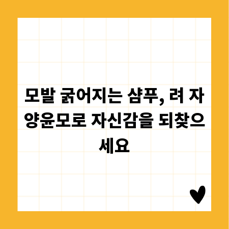 모발 굵어지는 샴푸, 려 자양윤모로 자신감을 되찾으세요