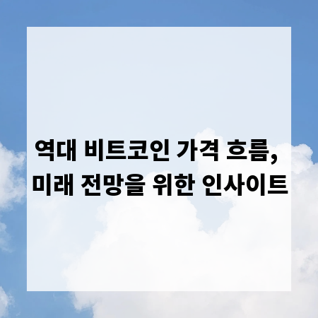 역대 비트코인 가격 흐름, 미래 전망을 위한 인사이트