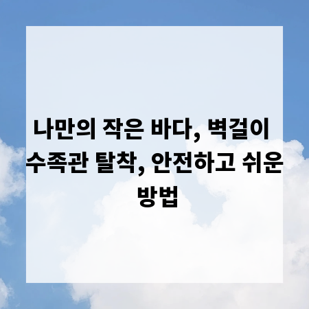 나만의 작은 바다, 벽걸이 수족관 탈착, 안전하고 쉬운 방법
