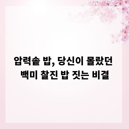 압력솥 밥, 당신이 몰랐던 백미 찰진 밥 짓는 비결