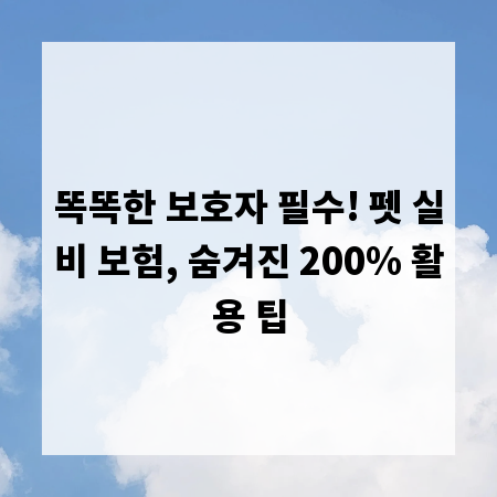 똑똑한 보호자 필수! 펫 실비 보험, 숨겨진 200% 활용 팁