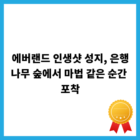 에버랜드 인생샷 성지, 은행나무 숲에서 마법 같은 순간 포착