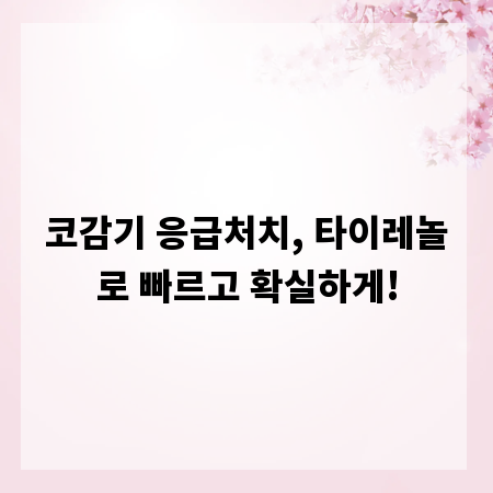 코감기 응급처치, 타이레놀로 빠르고 확실하게!