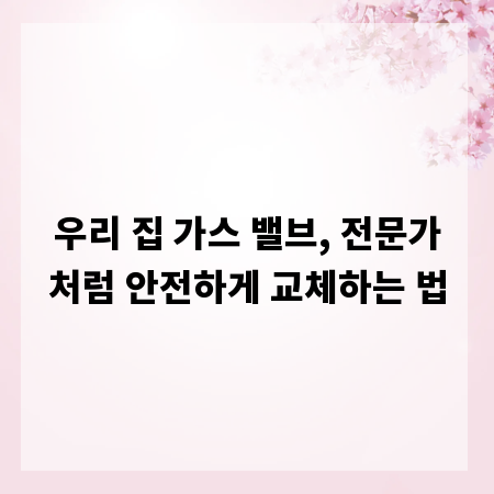 우리 집 가스 밸브, 전문가처럼 안전하게 교체하는 법