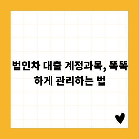 법인차 대출 계정과목, 똑똑하게 관리하는 법