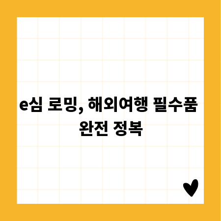 e심 로밍, 해외여행 필수품 완전 정복