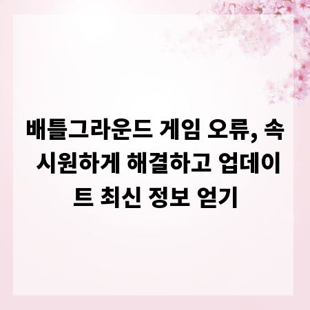 배틀그라운드 게임 오류, 속 시원하게 해결하고 업데이트 최신 정보 얻기