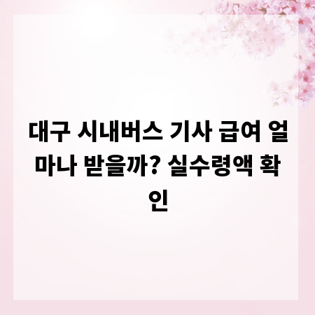대구 시내버스 기사 급여 얼마나 받을까? 실수령액 확인