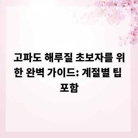 고파도 해루질 초보자를 위한 완벽 가이드: 계절별 팁 포함