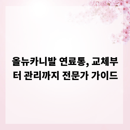 올뉴카니발 연료통, 교체부터 관리까지 전문가 가이드