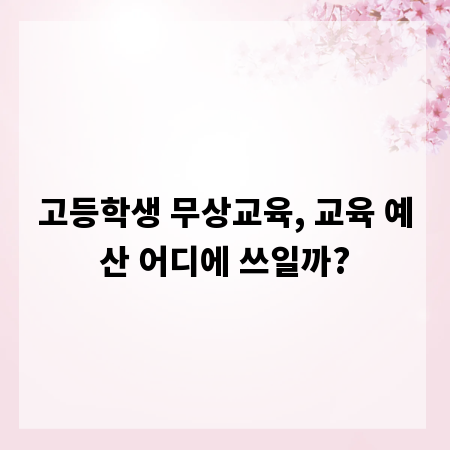 고등학생 무상교육, 교육 예산 어디에 쓰일까?