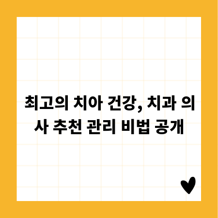 최고의 치아 건강, 치과 의사 추천 관리 비법 공개