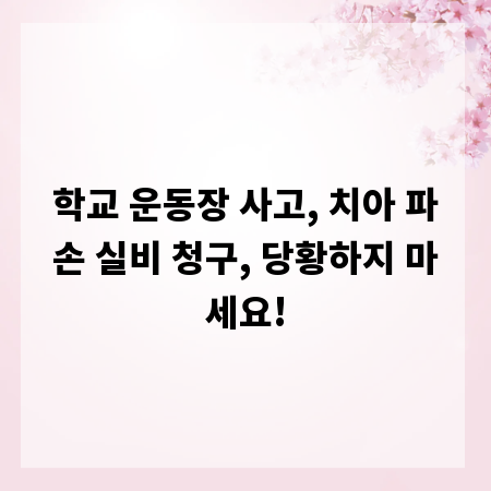 학교 운동장 사고, 치아 파손 실비 청구, 당황하지 마세요!
