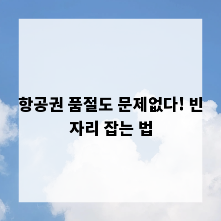 항공권 품절도 문제없다! 빈자리 잡는 법