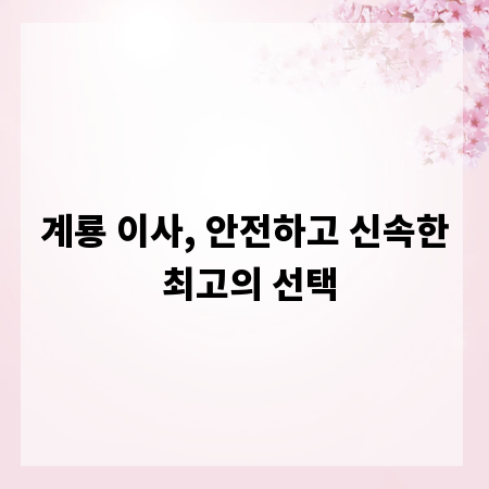 계룡 이사, 안전하고 신속한 최고의 선택