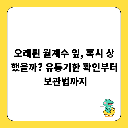 오래된 월계수 잎, 혹시 상했을까? 유통기한 확인부터 보관법까지