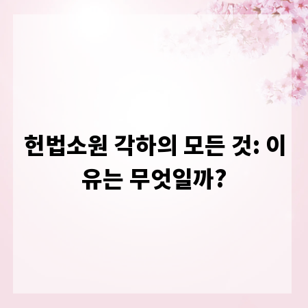 헌법소원 각하의 모든 것: 이유는 무엇일까?