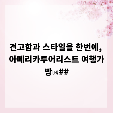 견고함과 스타일을 한번에, 아메리카투어리스트 여행가방
##