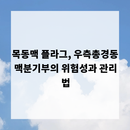목동맥 플라그, 우측총경동맥분기부의 위험성과 관리법