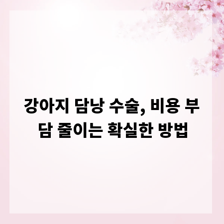 강아지 담낭 수술, 비용 부담 줄이는 확실한 방법