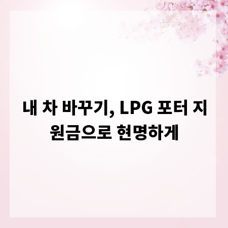 내 차 바꾸기, LPG 포터 지원금으로 현명하게