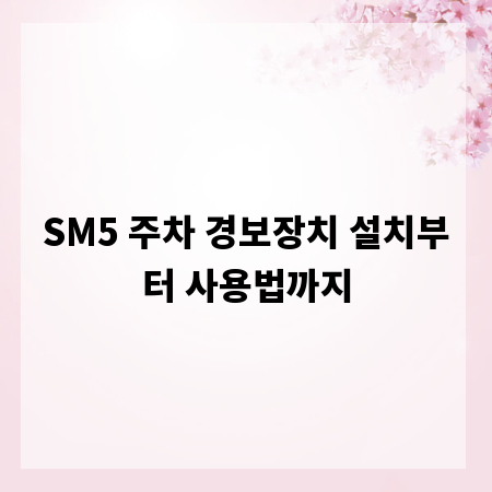 SM5 주차 경보장치 설치부터 사용법까지