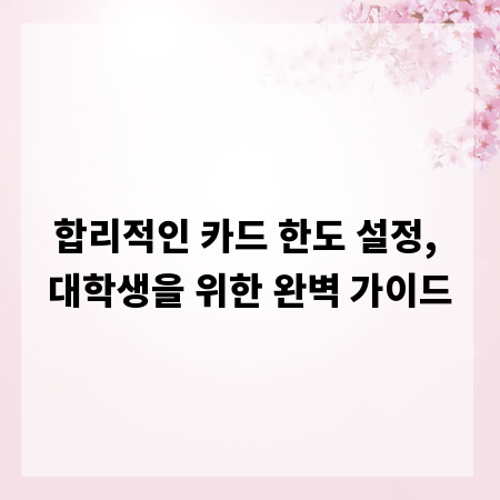 합리적인 카드 한도 설정, 대학생을 위한 완벽 가이드