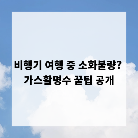 비행기 여행 중 소화불량? 가스활명수 꿀팁 공개