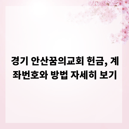 경기 안산꿈의교회 헌금, 계좌번호와 방법 자세히 보기