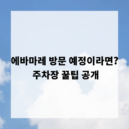 에바마레 방문 예정이라면? 주차장 꿀팁 공개