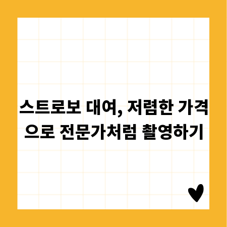 스트로보 대여, 저렴한 가격으로 전문가처럼 촬영하기