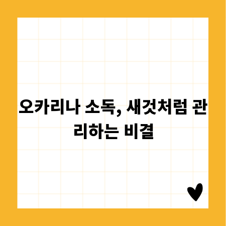 오카리나 소독, 새것처럼 관리하는 비결