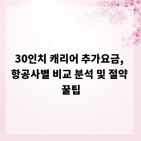 30인치 캐리어 추가요금, 항공사별 비교 분석 및 절약 꿀팁