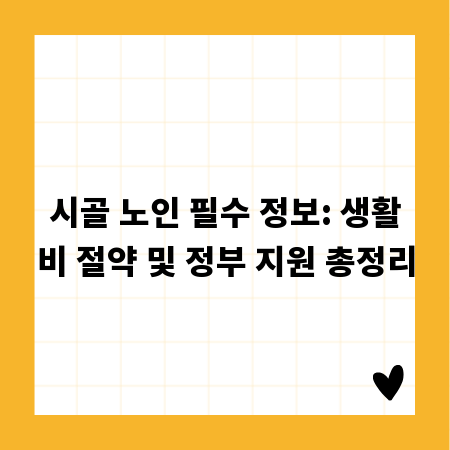 시골 노인 필수 정보: 생활비 절약 및 정부 지원 총정리