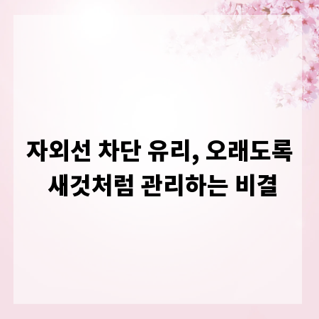 자외선 차단 유리, 오래도록 새것처럼 관리하는 비결
