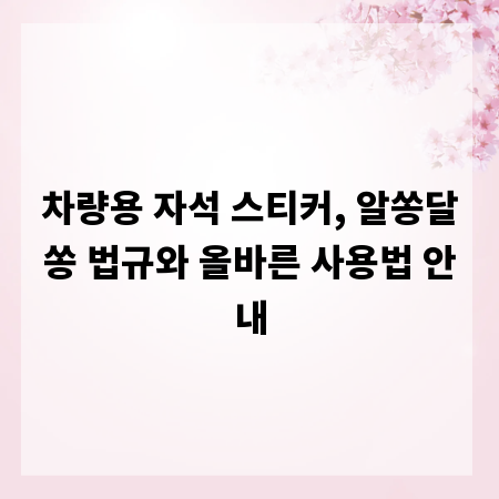 차량용 자석 스티커, 알쏭달쏭 법규와 올바른 사용법 안내