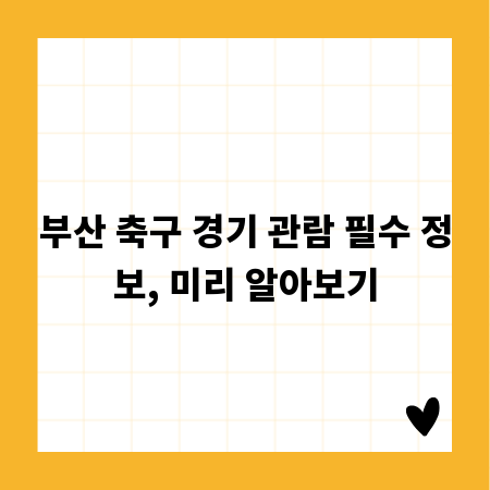 부산 축구 경기 관람 필수 정보, 미리 알아보기