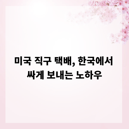 미국 직구 택배, 한국에서 싸게 보내는 노하우